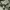 𝙔2𝙠 𝙎𝙠𝙪𝙡𝙡 𝘽𝙚𝙣𝙞𝙚 𝙃𝙖𝙩𝙩 photo 5