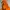 The North Face Gorpcore Casual Puffer jacket Pria orange photo 2