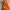 The North Face Gorpcore Casual Puffer Jacket Pria Orange
