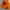 The North Face Gorpcore Casual Puffer jacket Pria orange photo 3