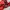 Montbell Gorpcore Windbreaker Pria red photo 5