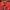 Montbell Gorpcore Windbreaker Pria red photo 4