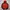Montbell Gorpcore Windbreaker Pria red photo 2