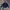 MLB Windbreaker Jacket Mariners Seattle Original photo 2