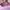 Converse Run Star Trainer Ballet Flat Pink photo 7