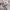 Converse Run Star Trainer Ballet Flat Pink  photo 4