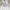 Celana Golf Mizino man 3/4 white BNWT photo 5