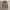 COAT BURBERRY BRIT WOMEN JACKET photo 3