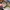 Vans Authentic OG 44 DX Anaheim Navy White photo 7