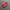 Vans Authentic OG 44 DX Anaheim Red Chilli photo 3