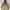 Nike ACG Sportswear Track jacket Pria tan photo 1