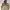 Nike ACG Sportswear Track Jacket Pria Tan