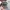 Bass Pro Shops dad hat script logo olive photo 3