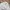 Lacoste Vintage Casual Harrington jacket Pria white photo 3