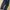 Navy Trousers Pants photo 2