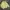 Yves Saint Laurent YSL Vintage Casual Harrington jacket Pria yellow photo 6