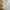 Fred Perry Vintage Casual Harrington jacket Pria white photo 5