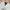 Fred Perry Vintage Casual Harrington jacket Pria white photo 3