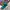 Bass Pro Shops Trucker Mesh Hat Sablon Logo Aqua