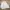 Uniqlo Vintage Casual Harrington jacket Pria white photo 6