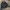 Polo Ralph Lauren Vintage Casual Harrington jacket Pria navy photo 1