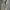 Dickies Vintage Casual Harrington jacket Pria gray photo 7