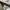 Jemorgan repro us army military wide snow pants photo 9