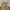 WTAPS Canvas Trousher Carpenter Pants photo 5