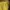 Casual Crop top Wanita yellow photo 3