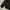 Gorpcore Jacket Inner Dacron UPPERCUT “Black” photo 5