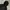 Gorpcore Jacket Inner Dacron UPPERCUT “Black” photo 4