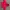 Uniqlo Streetwear Sportswear Hoody Wanita red photo 3