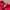 Uniqlo Streetwear Sportswear Hoody Wanita red photo 4