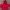 Uniqlo Streetwear Sportswear Hoody Wanita red photo 1