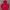 Uniqlo Streetwear Sportswear Hoody Wanita Red