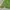 Knitwear CONVERSE “Green” photo 6