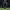 Argentina Away WC 26/27 Player issue photo 5