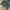 Stockton Japan Embroidered Japan Style Denim Pants Tornadoma photo 10
