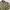 Jacket Columbia Camouflage Reversible Puffer photo 3