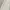 Coquette Casual Mini skirt Wanita white photo 3
