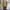 Vintage Casual Denim jacket Pria khaki tan photo 2