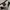 Nike Vintage Y2K Jersey Pria white black photo 4