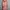 Luxury Muslim Going out dress Wanita multicolor pink photo 4