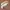 Y2K Fairy Heels Wanita white photo 5