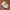 Y2K Fairy Heels Wanita white photo 1
