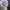 Maison Kitsuné Streetwear Luxury Sweatshirt Pria gray photo 4
