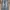 Vintage 90s Stussy-dm Distressed Denim Jeans Pants