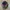 Vintage Streetwear Hat Pria red black photo 3