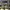 NIKE AIR DUNK JUMBO LOW REMASTERED OLIVE , DUNK JUMBO LOW RE photo 2