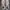 HOKA Tecton X2 Oat size 8us photo 2